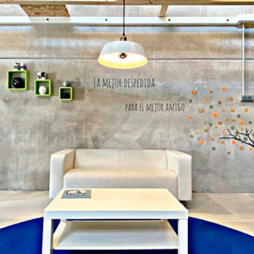 Incineración de animales de compañía en Burgos