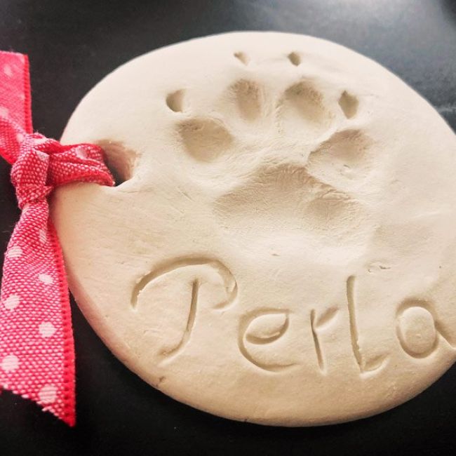 La huella de tu mascota para siempre