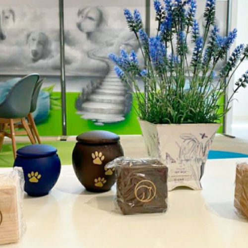 Recuerdo de mascotas en Paseo a las nubes