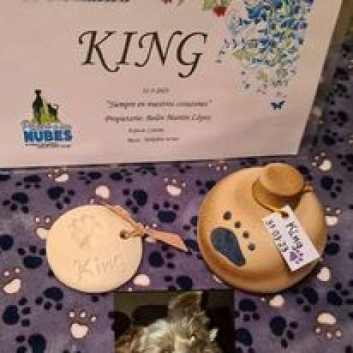 KING 3 4 2023