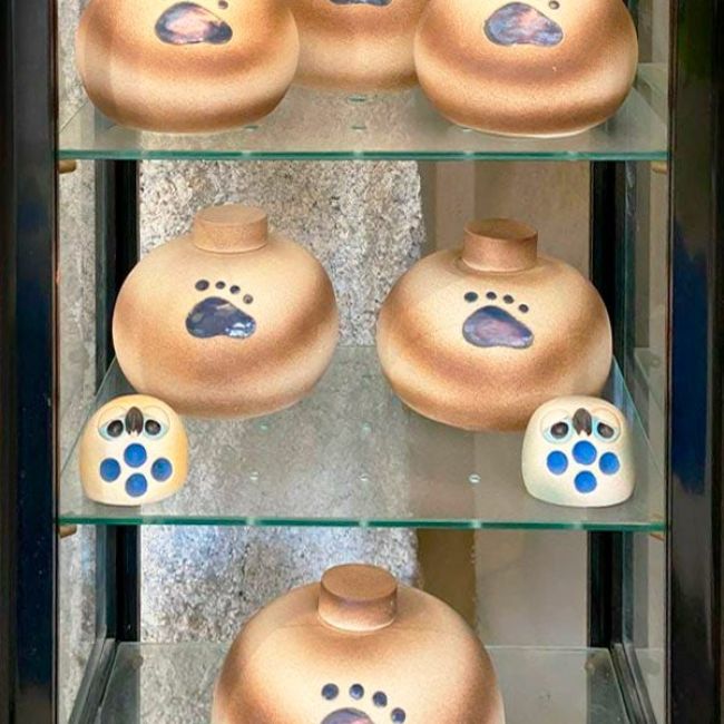 Incineración individual de mascotas en Burgos