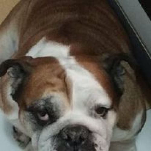 KAISER