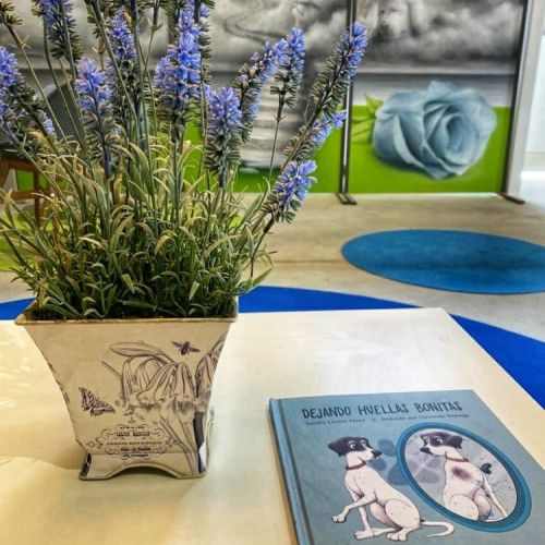 Tanatorio para animales de compañía